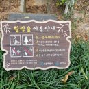 우장산 힐링센터 화장실 네이버블로그