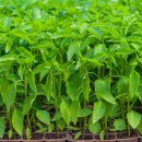 충주농약마트 이미지