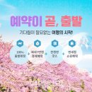 에스아이투어