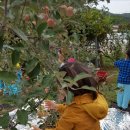 박달농원 이미지