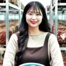 정직한 버섯