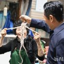 낙지가와 이미지