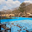 백운계곡캠핑장 | 서울 근교 캠핑장 백운계곡캠핑장 프리미엄동 후기