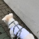 온새네 간식점 이미지