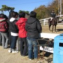 수락초등학교 이미지