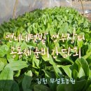 남해언니네 장터공동체 | 언니네텃밭 성주 장터 공동체 구성 준비 간담회