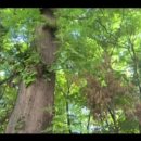 활기원 - 수원시 팔달구 팔달로48번길 24 | 활기원