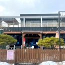 개밥주는여자 이미지