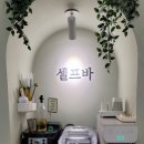 포비살롱