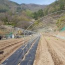 흥산농장 이미지