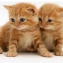 영어교실 이미지