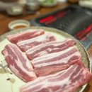 불은축산 이미지