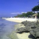 [바탕가스]깔라따간 리조트 비치 Stilts' resort Calatagan Batangas 이미지