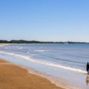 몽산포식당 이미지