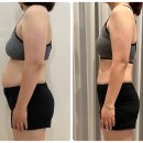 다이어트핏 이미지