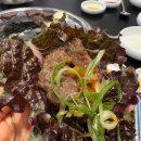 경주 한우 맛집 입에서 살살 녹았던 천일가든 시청점 고기집 후기