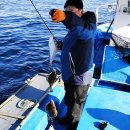 수산어촌체험마을 펜션 이미지