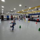 용인대 국가대표 태권도장 이미지