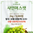 [생산소비 상생사업]샤인머스켓 2kg 9천원 이미지