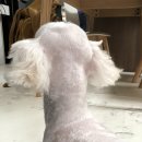 금오동물병원 이미지