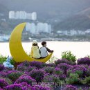 지세포로 이미지