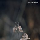 수지성모요양원 | 용인요양원 수지성모요양원 따뜻한 돌봄이 있는 곳