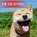 십일월오일 이미지