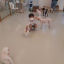 뽀도독애견카페