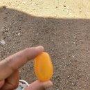 토마토주유소 이미지