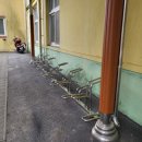 유등초등학교 이미지