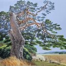 춘천미술관 이미지