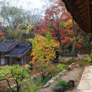 백운동 정원 이미지