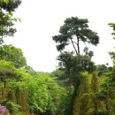 삼오농장 이미지