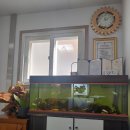 에코르세차장 이미지