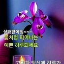 제일건강 네이버블로그