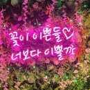 바구니치킨