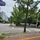 성심떡방앗간 이미지