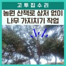광명농원 | 광명 농원 산책로 나무 가지치기 상처 없이 전문가 시공