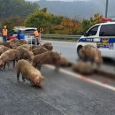 옹기종기 이미지