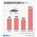 각종뉴스 이미지