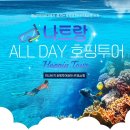 나트랑 호핑투어 내돈내산 미니비치 단독투어 스노쿨링 올데이 후기