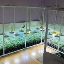 셀바이오 이미지