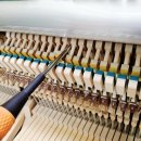 심석중학교 이미지