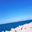 푸른신창 이미지