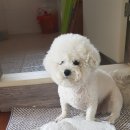 인터라켄PC방 이미지