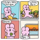 승식 휴식을 취하세요🍀 2697 이미지