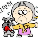 제주아이니 이미지