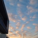 노형늘봄 이미지