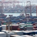 대미플러스 이미지