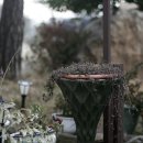 별빛바다펜션 이미지